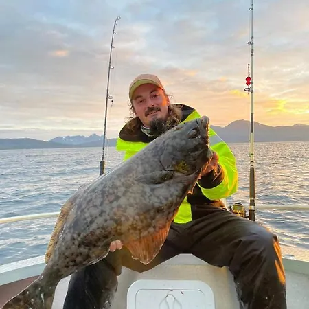 Senja Arctic Lodge *