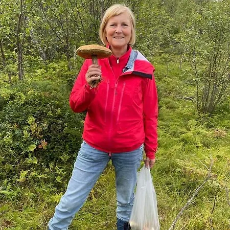 Senja Arctic Stonglandseidet