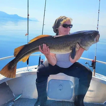 Senja Arctic * Stonglandseidet