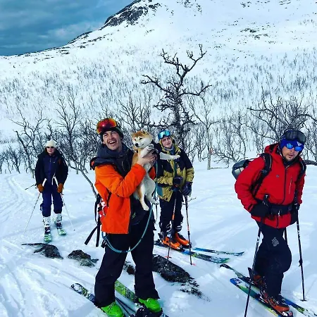 Alojamento de Turismo Selvagem Senja Arctic *