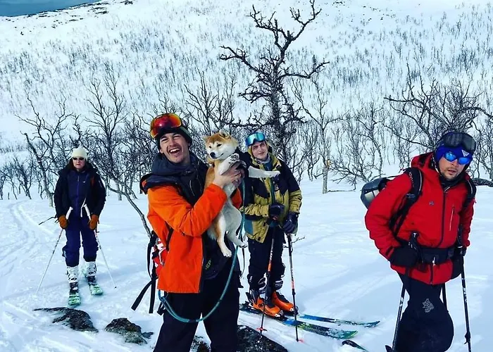 롯지 Senja Arctic *